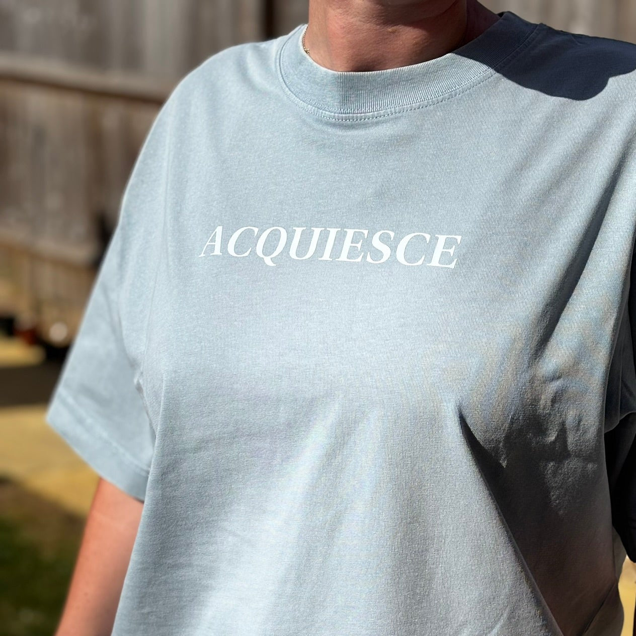 ACQUIESCE Relaxed Fit Mabel T-Shirt