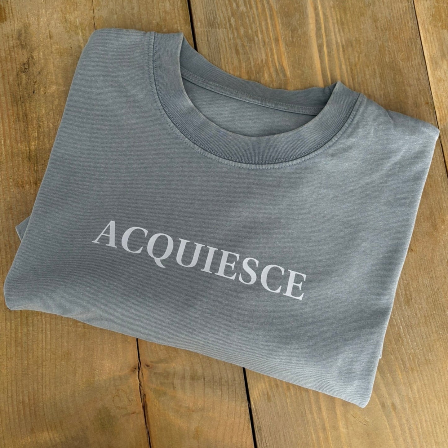 ACQUIESCE Relaxed Fit Mabel T-Shirt